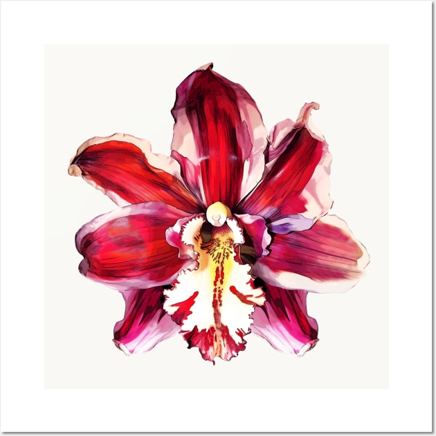 Red Orchid Flower Wall Art by Pine Hill Goods